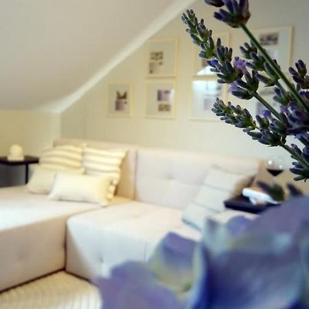Petite Grey Apartment With Free Private Parking Загреб Екстериор снимка