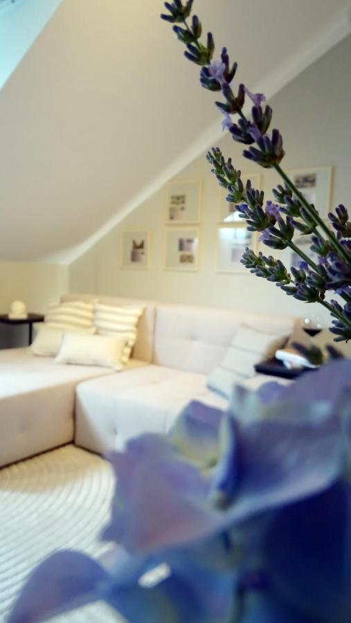 Petite Grey Apartment With Free Private Parking Загреб Екстериор снимка